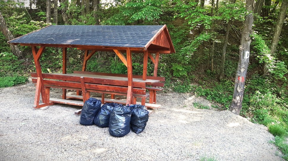 Deșeuri adunate de silvicultorii suceveni, pe Via Transilvanica  319