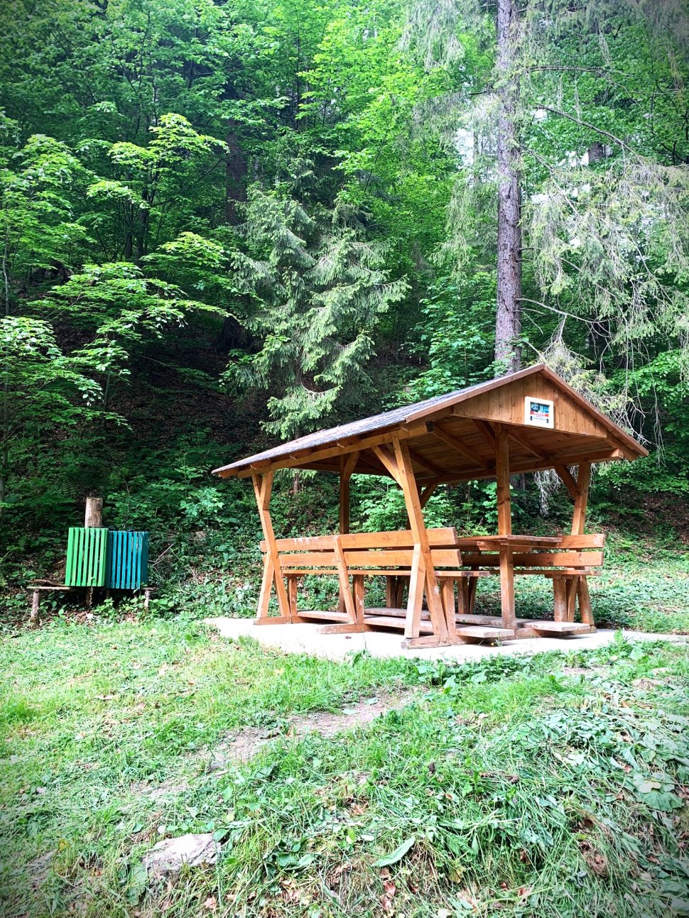 Deșeuri adunate de silvicultorii suceveni, pe Via Transilvanica  326