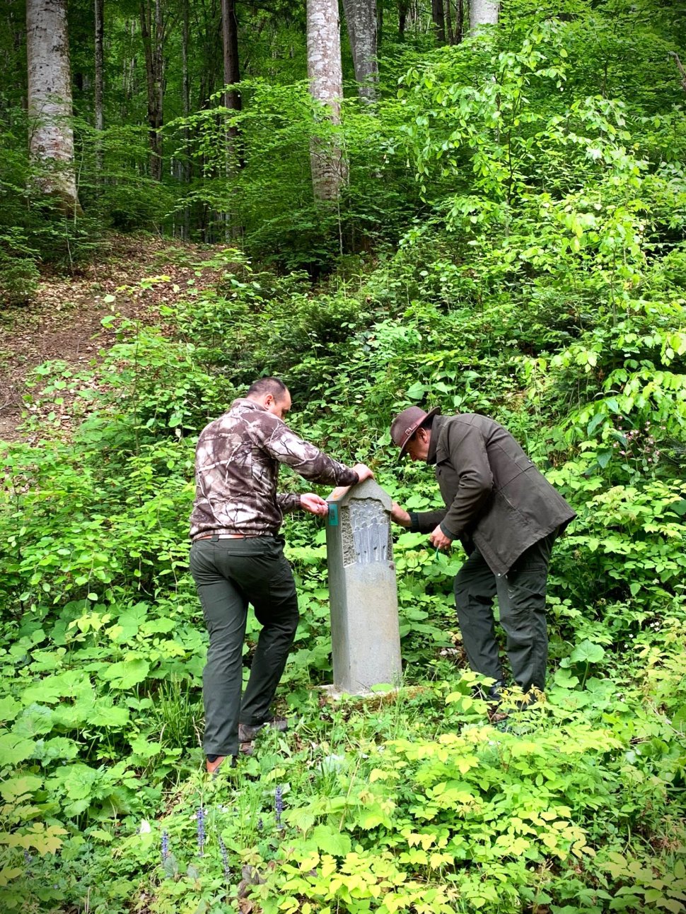 Deșeuri adunate de silvicultorii suceveni, pe Via Transilvanica  329