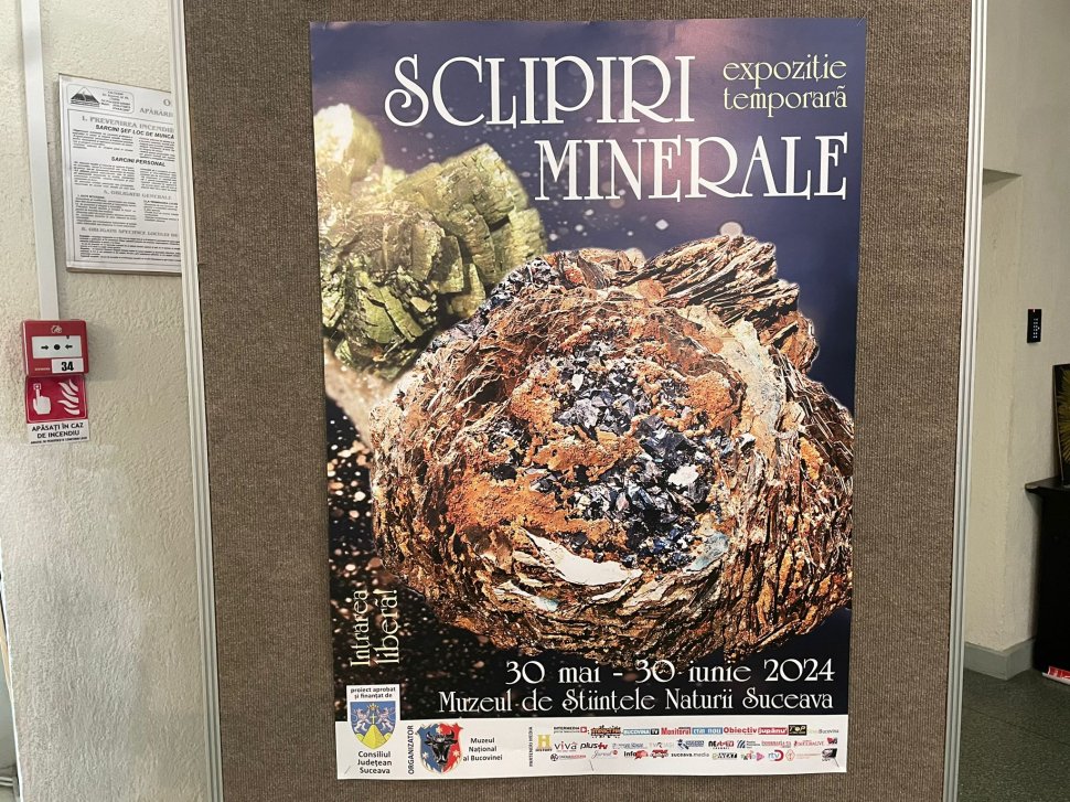 Expoziția „Sclipiri Minerale”, la Muzeul de Științe ale Naturii Suceava 