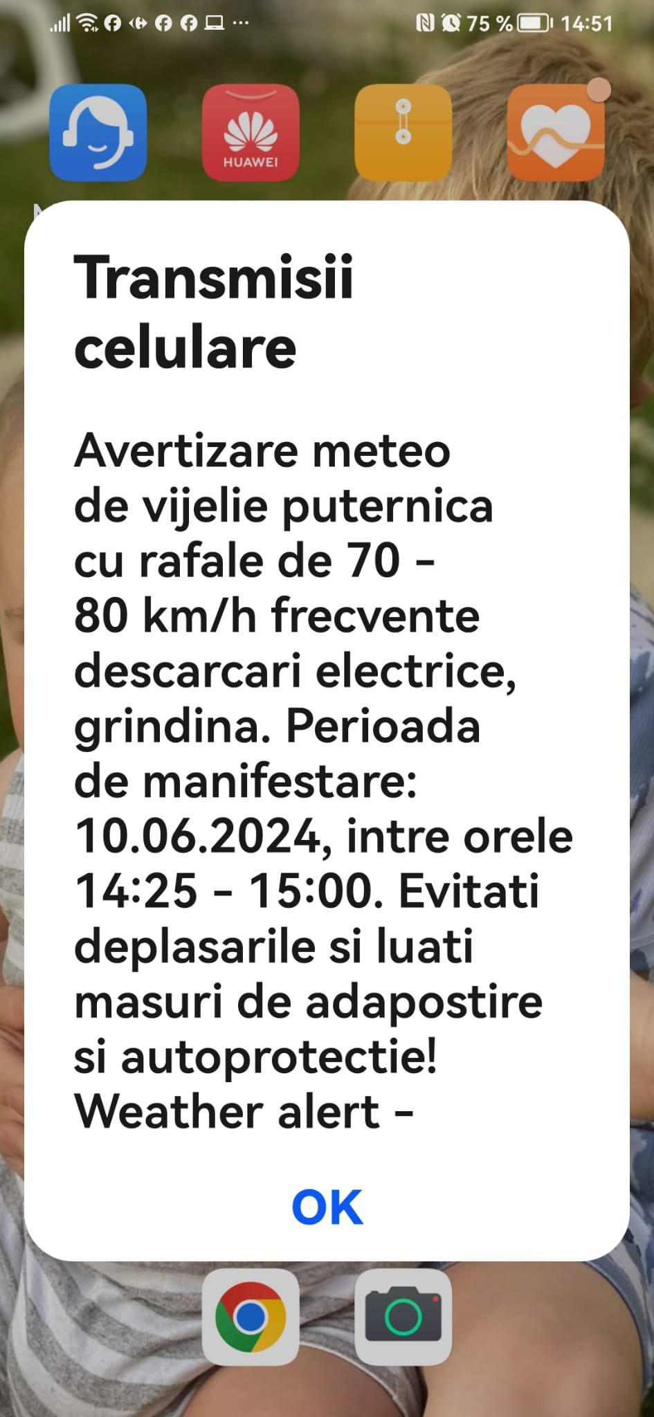 Mesaj de tip Ro-Alert