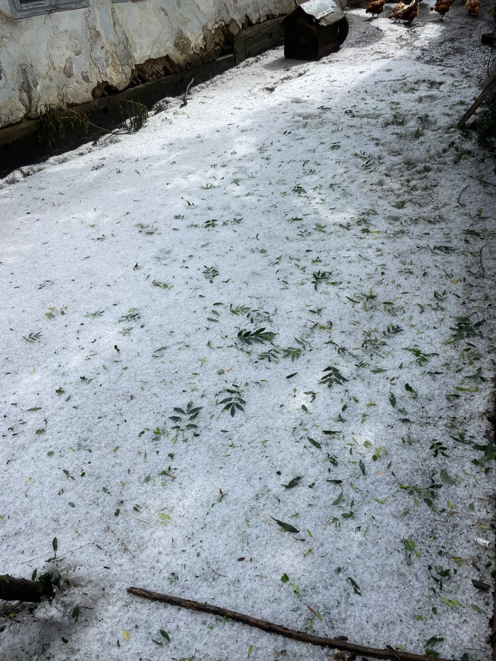 Comuna Preutești acoperită cu gheață în urma codului roșu 598