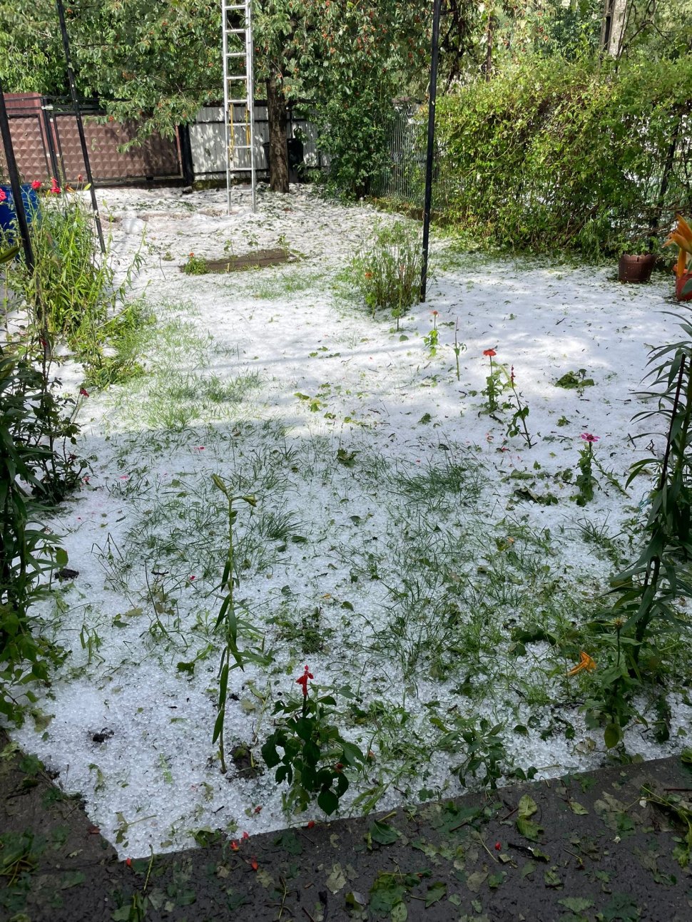 Comuna Preutești acoperită cu gheață în urma codului roșu 599