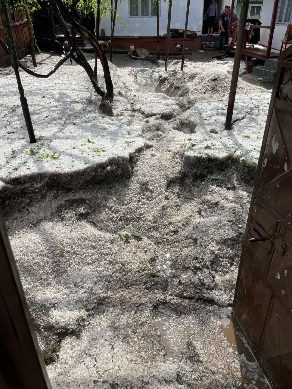 Comuna Preutești acoperită cu gheață în urma codului roșu 600