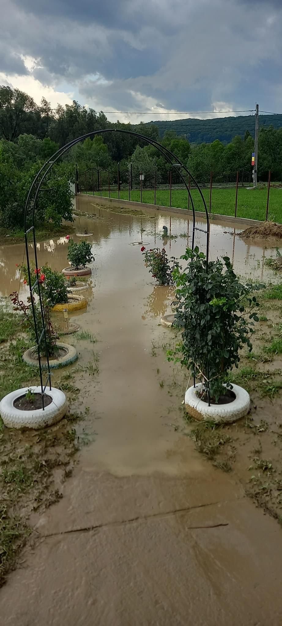 Inundații în urma furtunii, la Basarabi 603