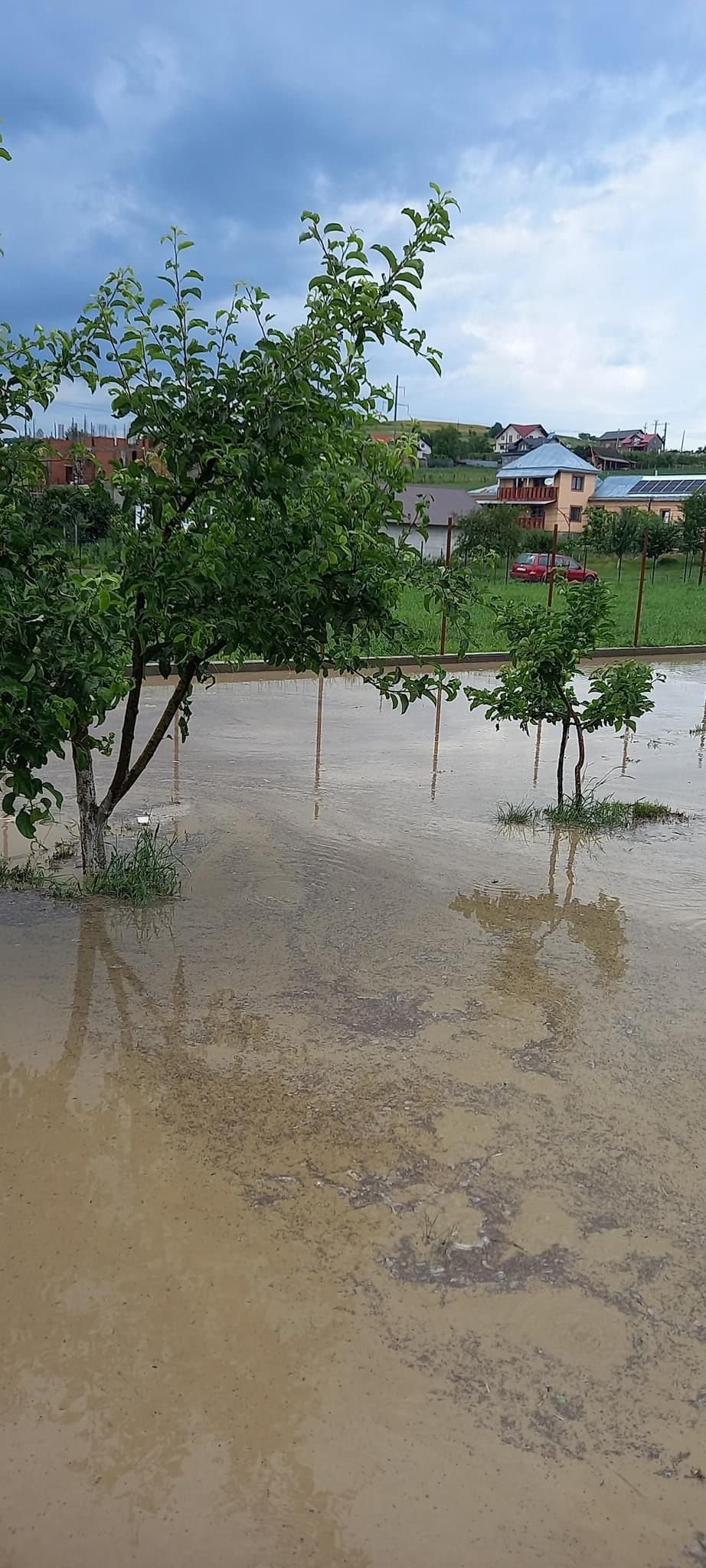 Inundații în urma furtunii, la Basarabi 604