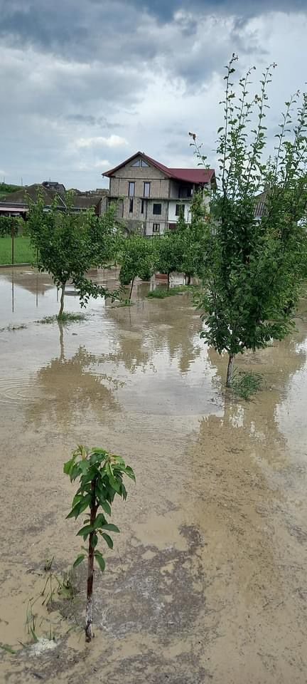 Inundații în urma furtunii, la Basarabi 606