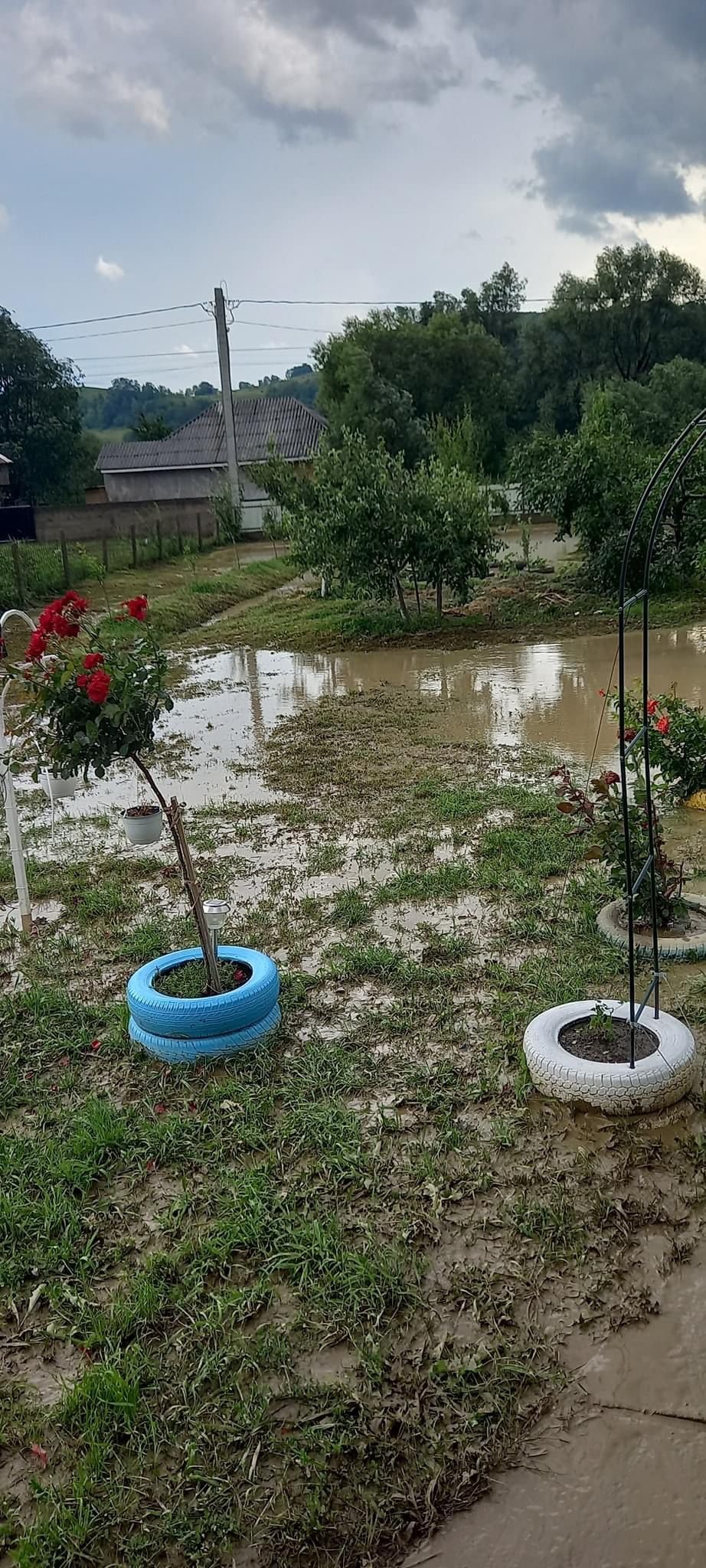 Inundații în urma furtunii, la Basarabi 611