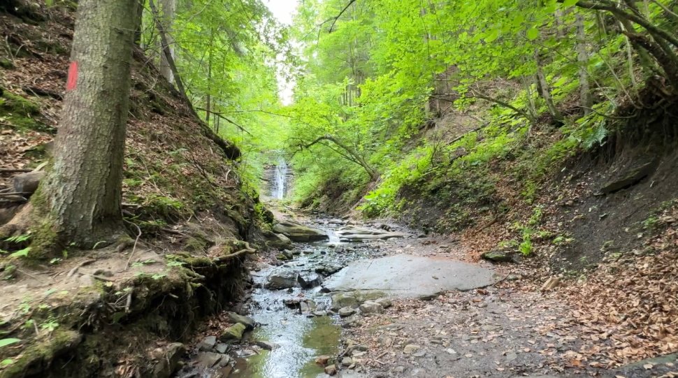 Cascada Bursuc, frumusețea ascunsă a Bucovinei 988