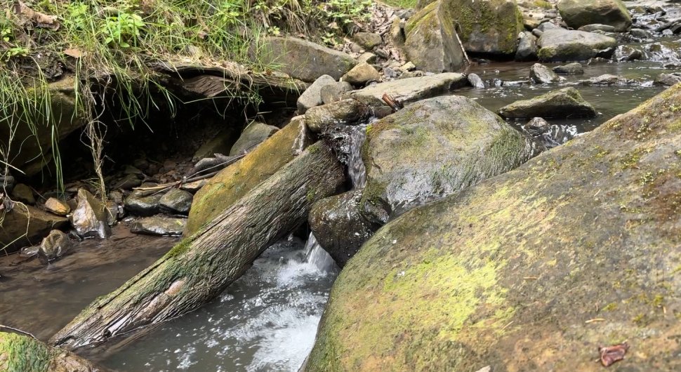 Cascada Bursuc, frumusețea ascunsă a Bucovinei 991