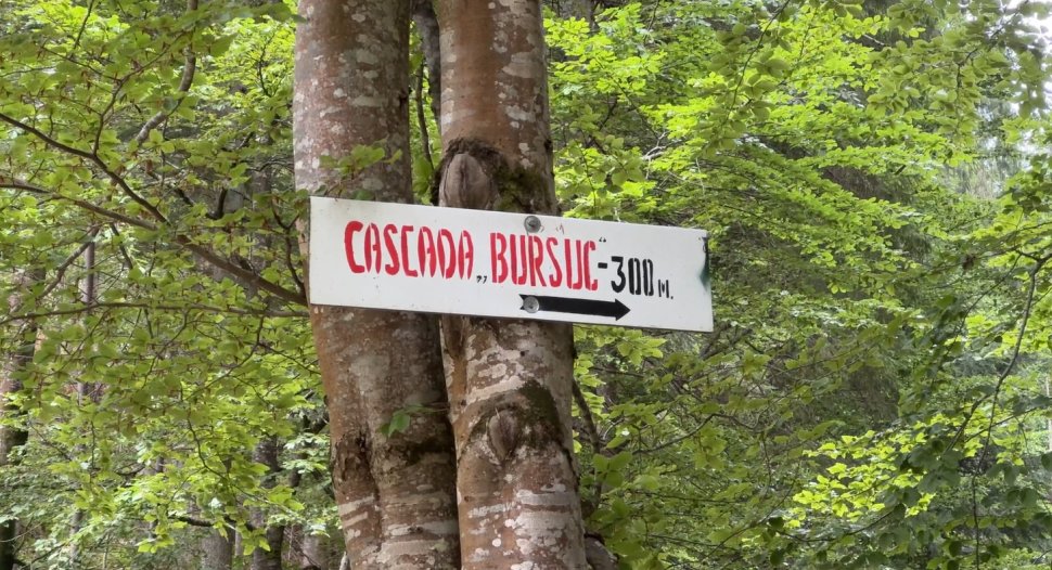 Cascada Bursuc, frumusețea ascunsă a Bucovinei 992