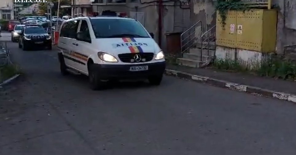 Peste 1.000 de plante de canabis, ridicate în urma a șase percheziții făcute de polițiștii suceveni 1094