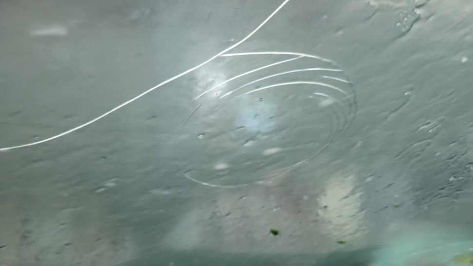 Codul portocaliu a făcut ravagii în municipiul Suceava 1159