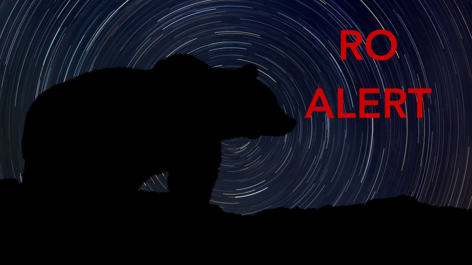Mesaj RO-Alert privind prezența unui urs în Câmpulung Moldovenesc 1216