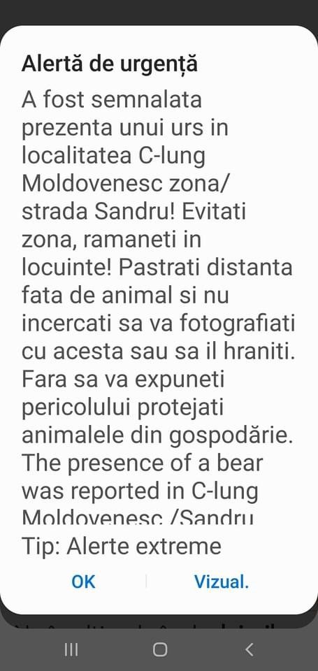 Mesaj RO-Alert privind prezența unui urs în Câmpulung Moldovenesc 1217