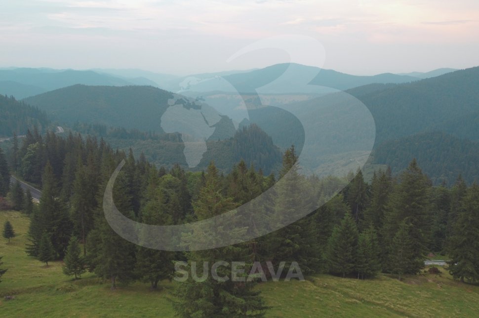 Crucea Talienilor din Munții Stânișoarei, obiectiv turistic al Bucovinei  1475