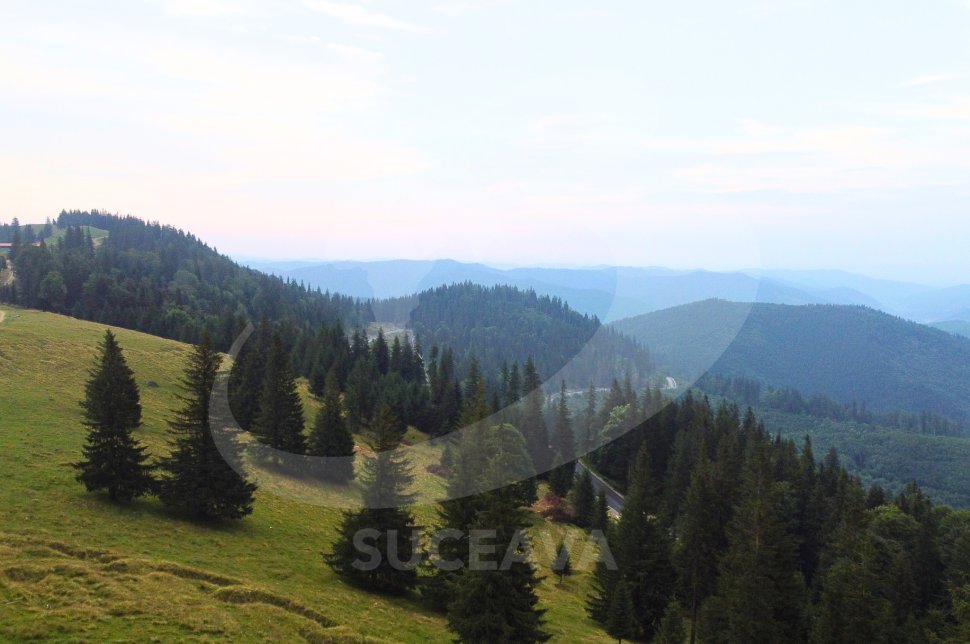 Crucea Talienilor din Munții Stânișoarei, obiectiv turistic al Bucovinei  1477