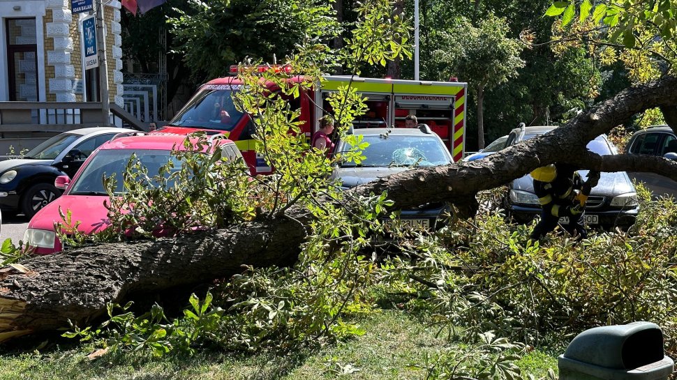 O familie a scăpat nevătămată după ce un copac s-a prăbușit  1726