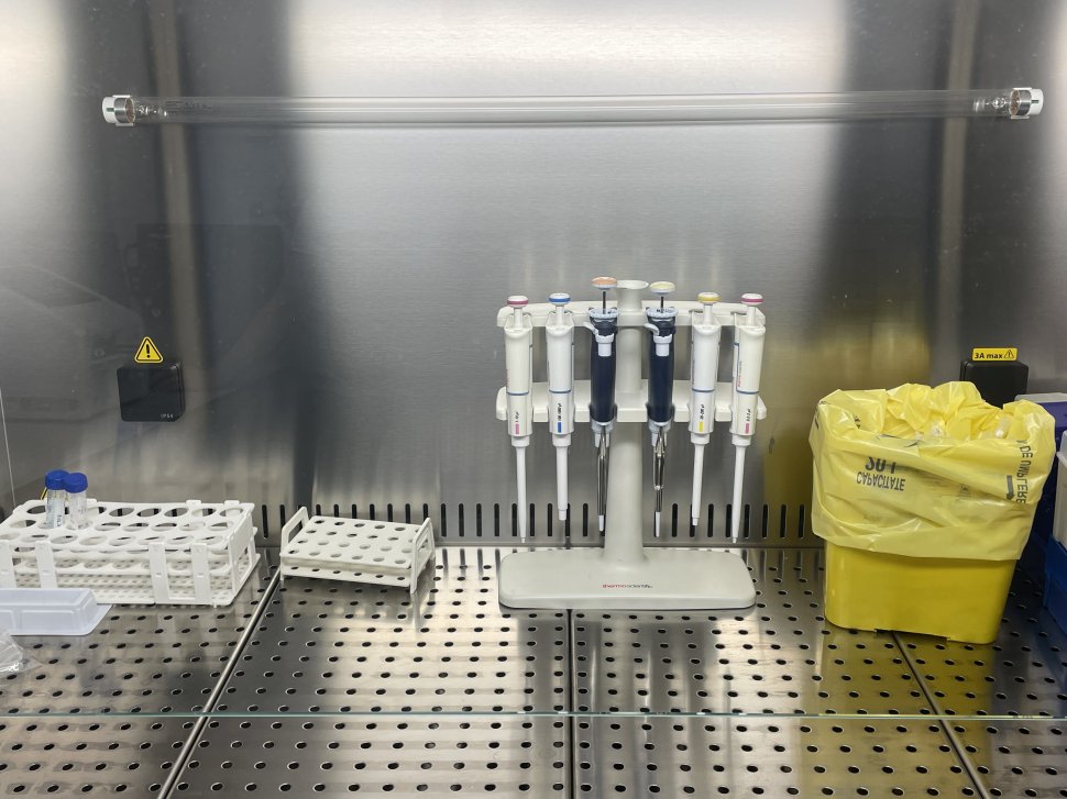Programul de Medicină al Universității sucevene a primit aviz pentru autorizare 1843