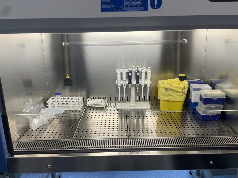 Programul de Medicină al Universității sucevene a primit aviz pentru autorizare 1845