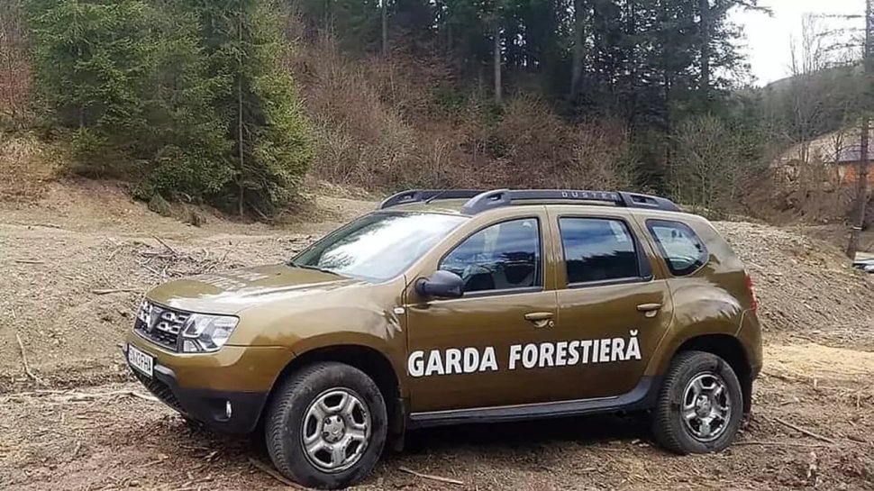 Nereguli grave descoperite de Garda Forestieră, la Cârlibaba