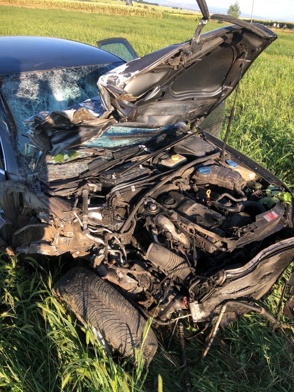  Doi morți și un rănit grav după ce un șofer beat a intrat într-o căruță 2008