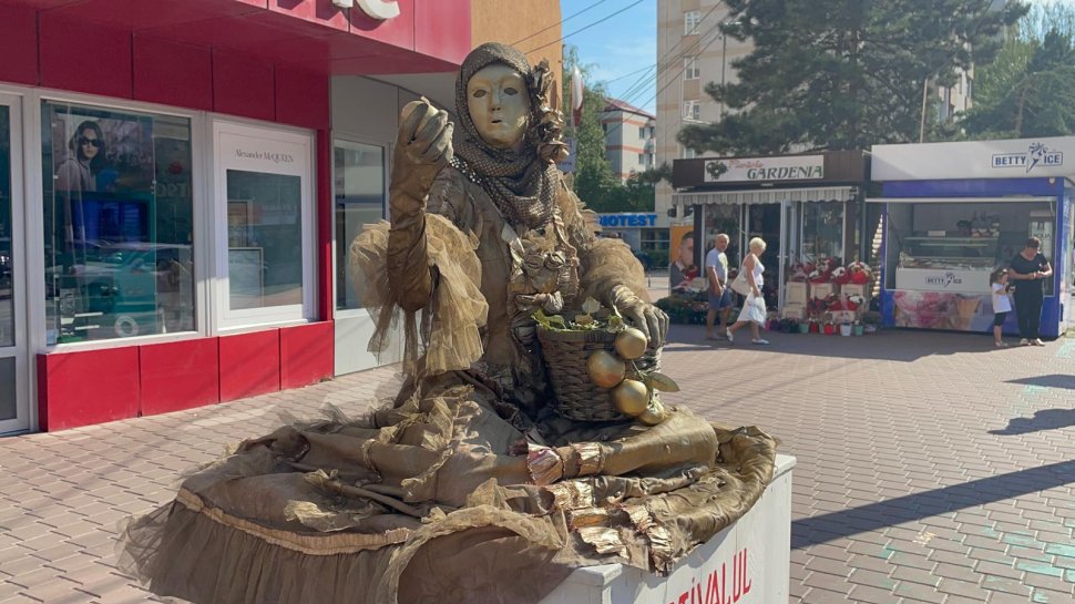  Statuile vii sunt prezente în municipiul Suceava zilele acestea 2063