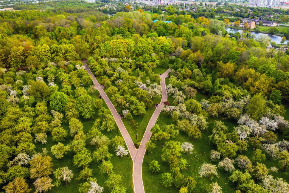 Pe dealul mănăstirii din Burdujeni se va înființa o pădure-parc