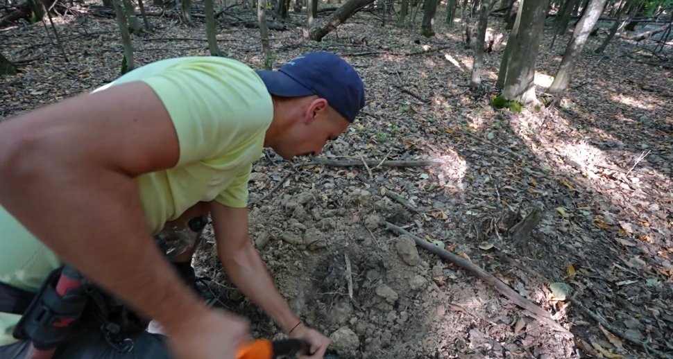 Descoperire spectaculoasă în pădurea Aluniș 2434