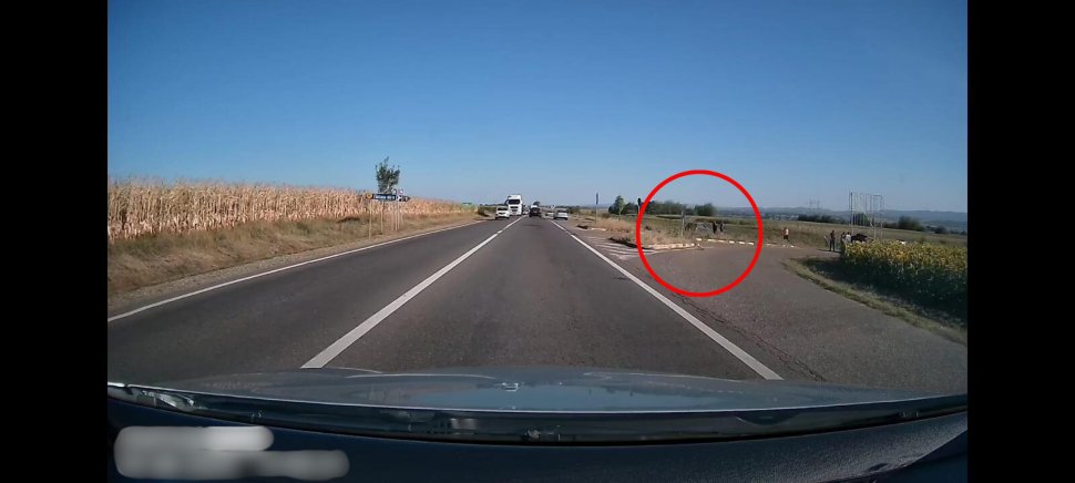 Alcoolemie record a șoferului care a ajuns cu mașina în câmp la Fântâna Mare 2479