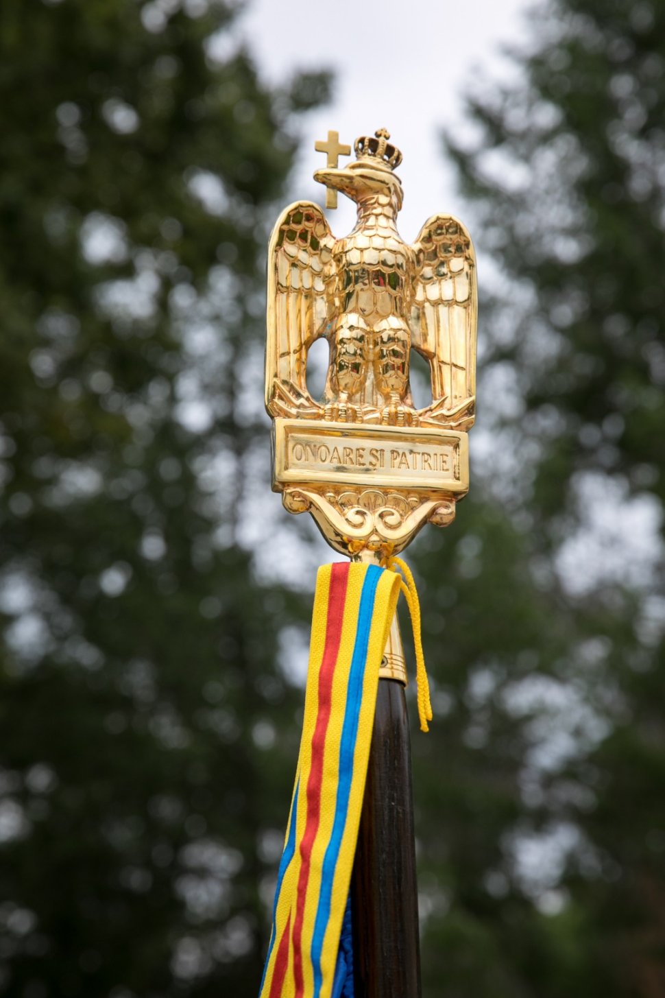 Șapte pompieri suceveni s-au alăturat misiunii din Grecia 2553