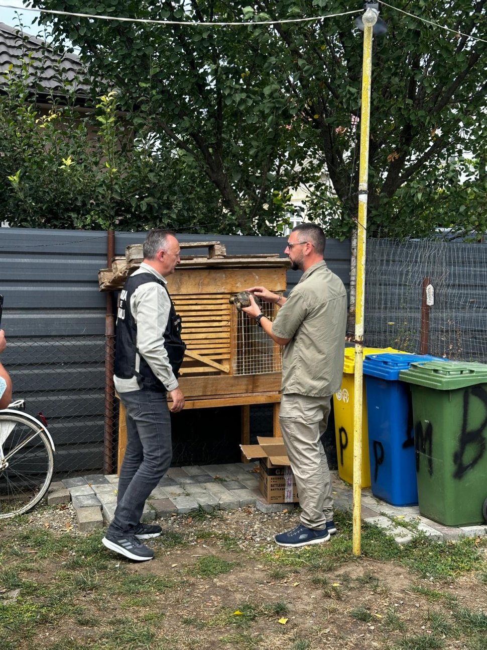 Dosar penal pentru un sucevean după ce a luat o țestoasă de pe un drum din Constanța 2563