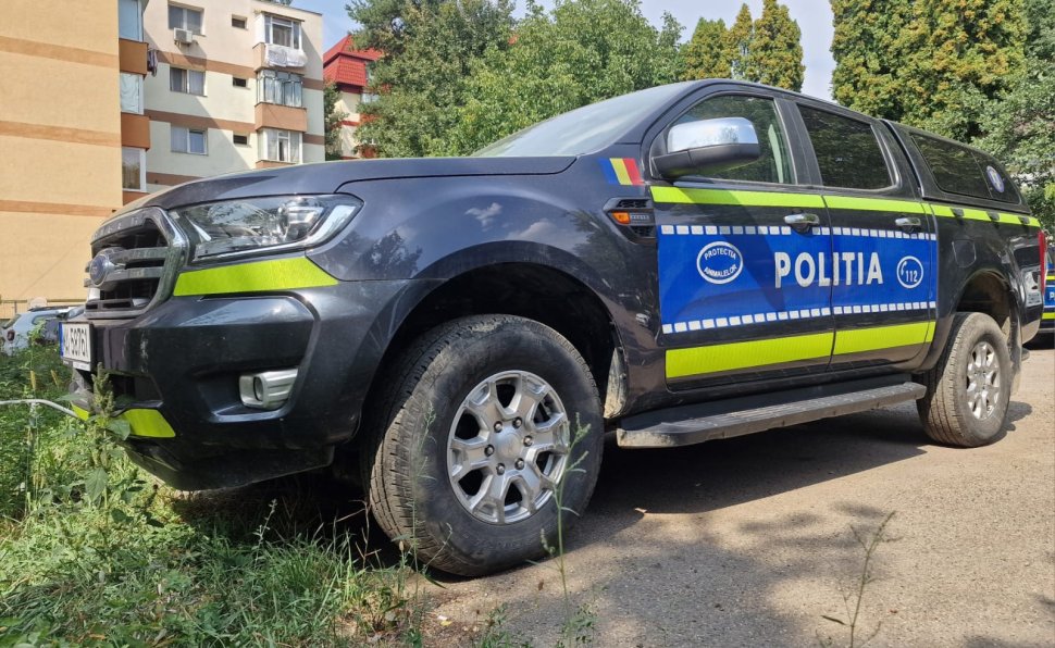 Dosar penal pentru un sucevean după ce a luat o țestoasă de pe un drum din Constanța 2564