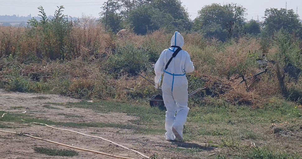 Crimă mascată în sinucidere la Botoșani 2605