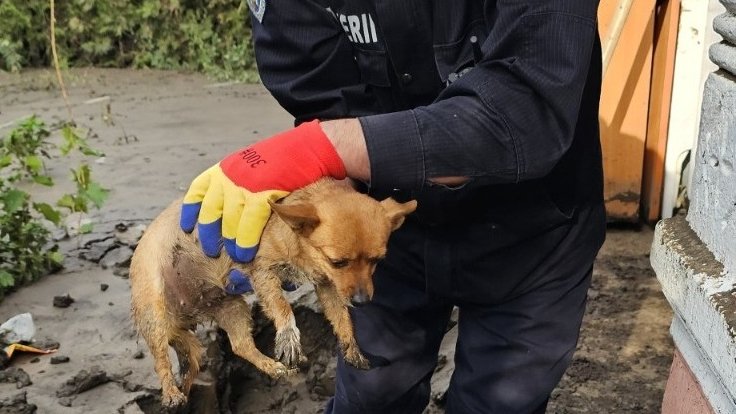 ISU Suceava, alături de sinistrații din Galați 2993