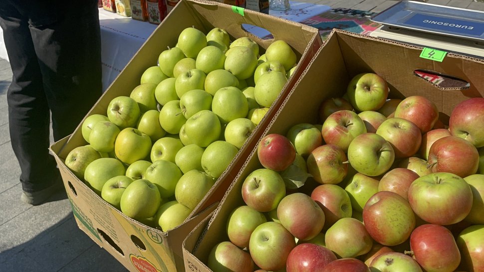 Gusturi de toamnă în inima Sucevei  3082