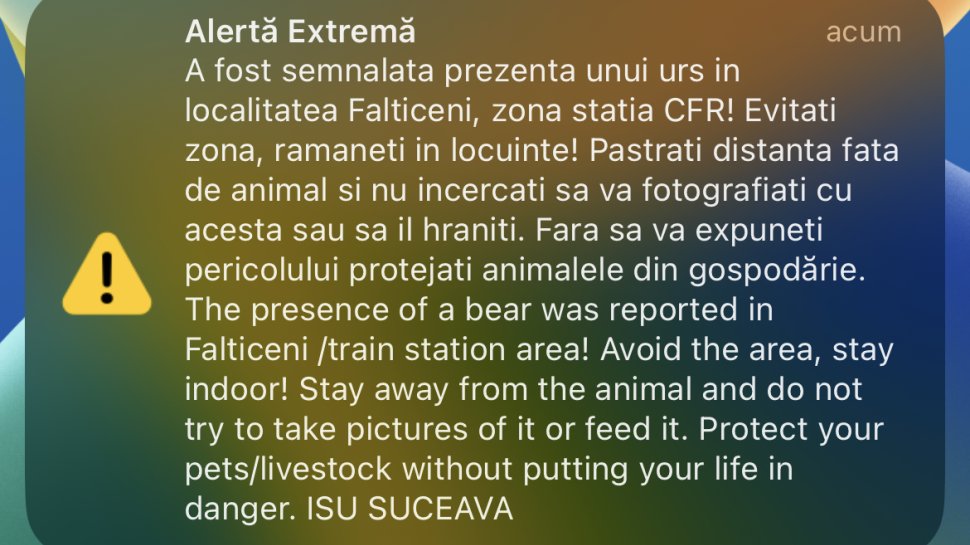 Prezența unui urs în miez de noapte la Fălticeni, semnalată prin Ro-Alert