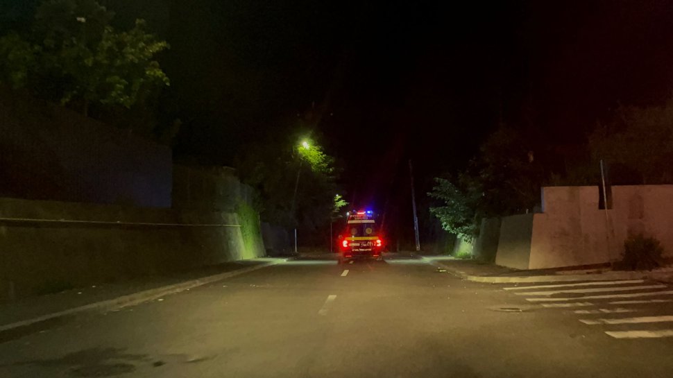 Panică în Fălticeni: Autoritățile, în alertă după apariția unui urs în oraș 3150