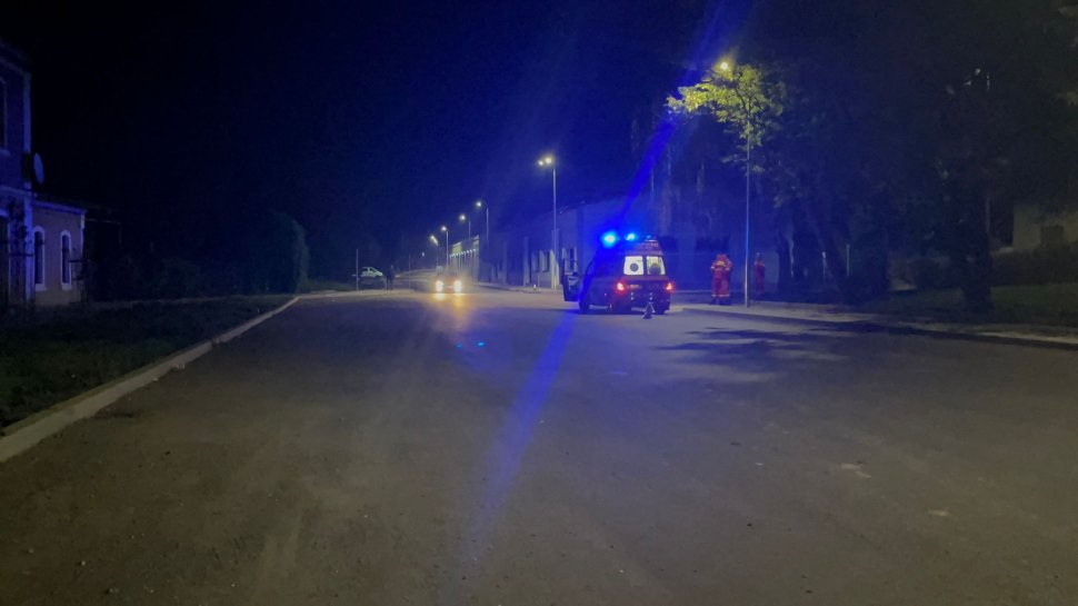 Panică în Fălticeni: Autoritățile, în alertă după apariția unui urs în oraș 3151