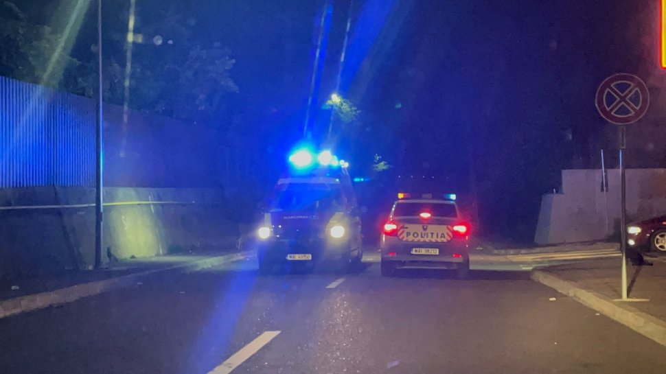 Panică în Fălticeni: Autoritățile, în alertă după apariția unui urs în oraș 3152