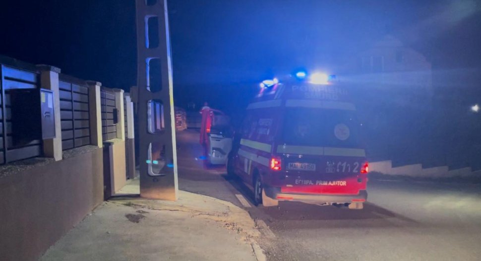 Panică în Fălticeni: Autoritățile, în alertă după apariția unui urs în oraș 3154