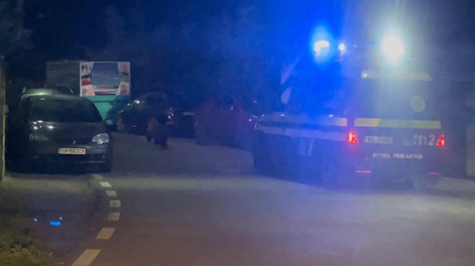 Panică în Fălticeni: Autoritățile, în alertă după apariția unui urs în oraș 3155