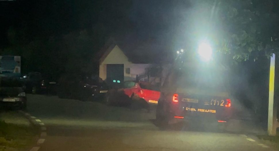 Panică în Fălticeni: Autoritățile, în alertă după apariția unui urs în oraș 3156