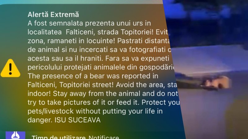 Fălticeniul a fost alertat din nou cu privire la prezența unui urs