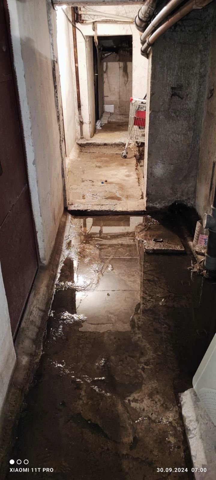 Pompierii suceveni, la datorie: numeroase intervenții în perioada codului portocaliu 3422