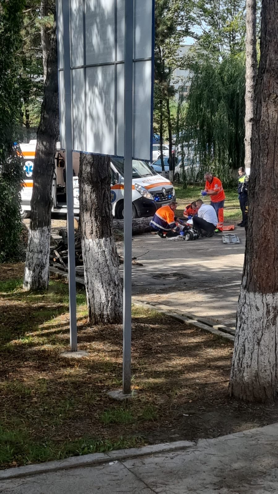  Angajată de la DGASPC Suceava strivită de un copac în cădere 3525