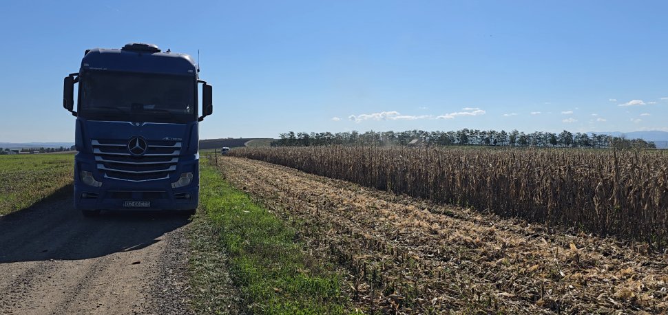 Seceta din acest an a distrus recolta din Suceava 3744