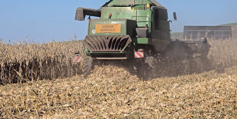 Seceta din acest an a distrus recolta din Suceava 3745