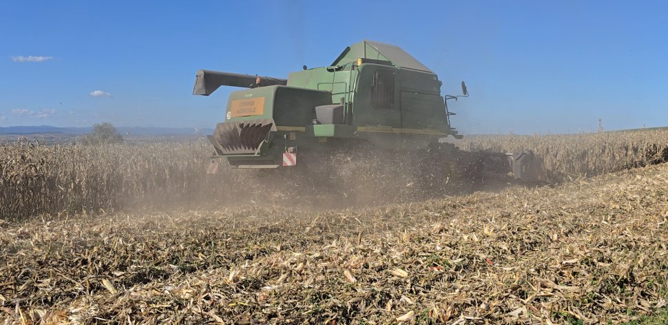 Seceta din acest an a distrus recolta din Suceava 3746