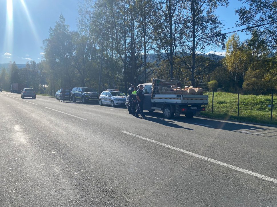 Amenzi de peste 120.000 de lei în cadrul unei acțiuni ample a polițiștilor la Vatra Dornei 3780